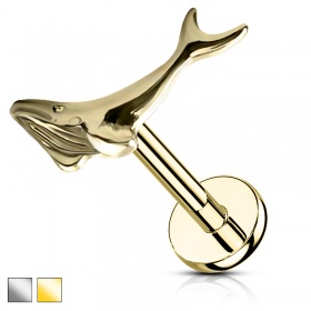 Labret wieloryb PW491