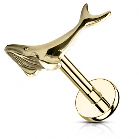 Labret wieloryb