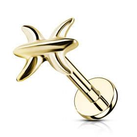 Labret znak zodiaku Ryby