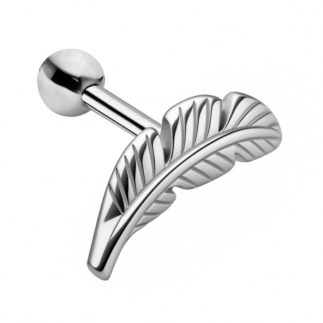 Kolczyk do ucha - Srebrne piórko