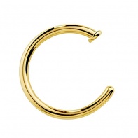 Złote kółko z tytanu do nosa