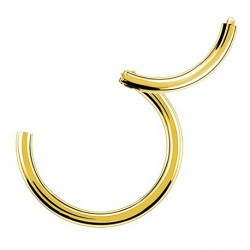 Złoty segment ring clicker