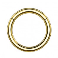 Tytanowy złoty segment ring