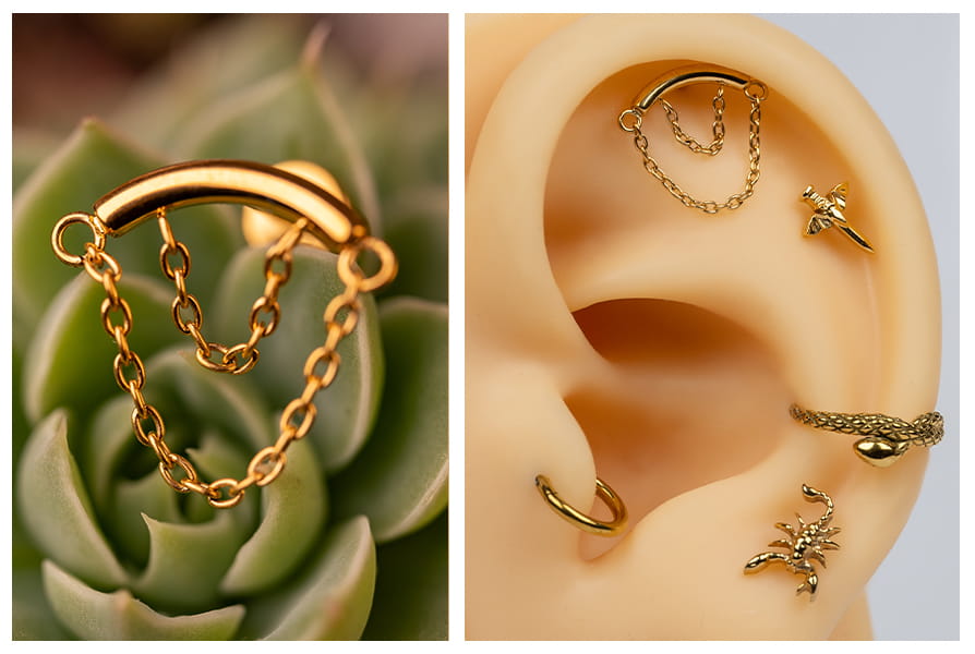 Złoty labret z podwójnym łańcuszkiem pokazany na tle sukulenta oraz w stylizacji na modelu ucha